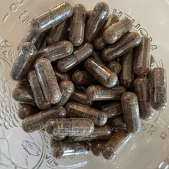 Encapsulated placenta powder