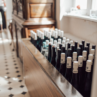 Blick auf unzĂ€hlige Weinflaschen in einer KĂŒhlung im Haus