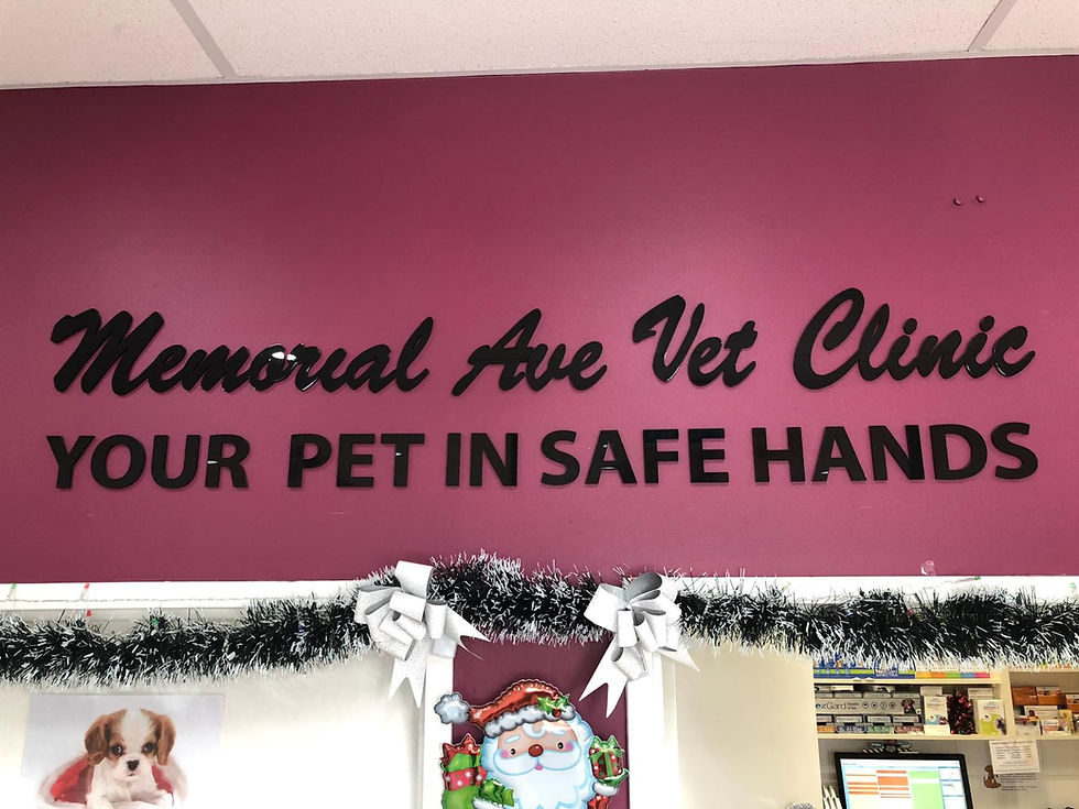 Memorial Ave Vet Clinic
