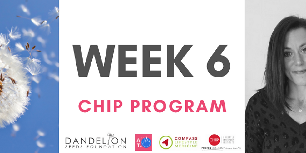 WEEK 6