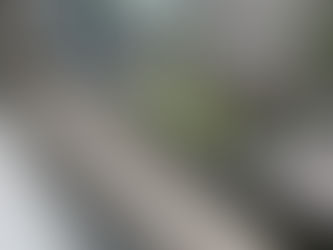 Window Track Cleaning – Before & After