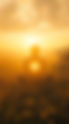 Kundalini Meditations | Robin Whitaker