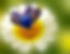 295198_409570919104978_2079044388_n.jpg