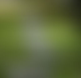 The Art of a Spiritual Practice