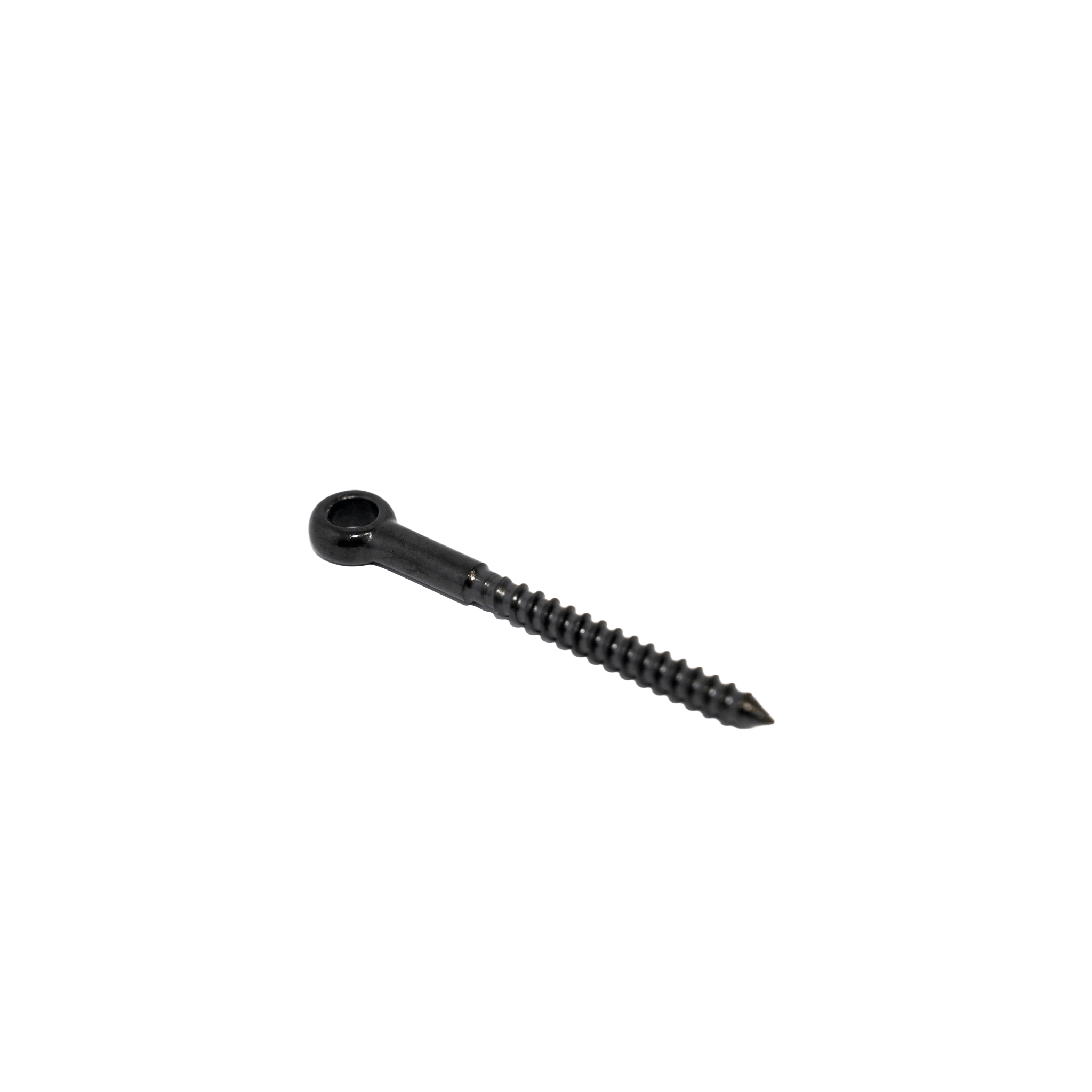 Eyelet Lag Screw 6 x 60mm 316SS - Black