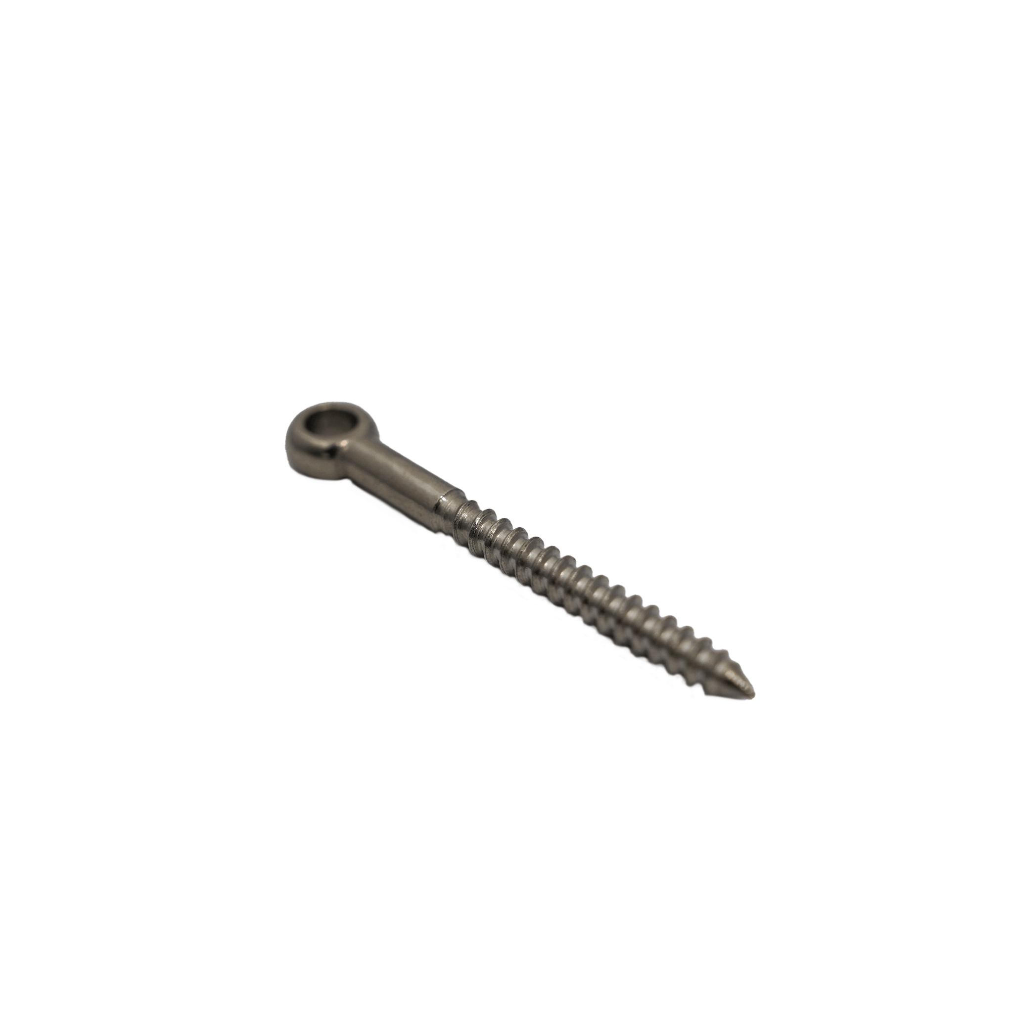 Eyelet Lag Screw 6 x 60mm 316SS