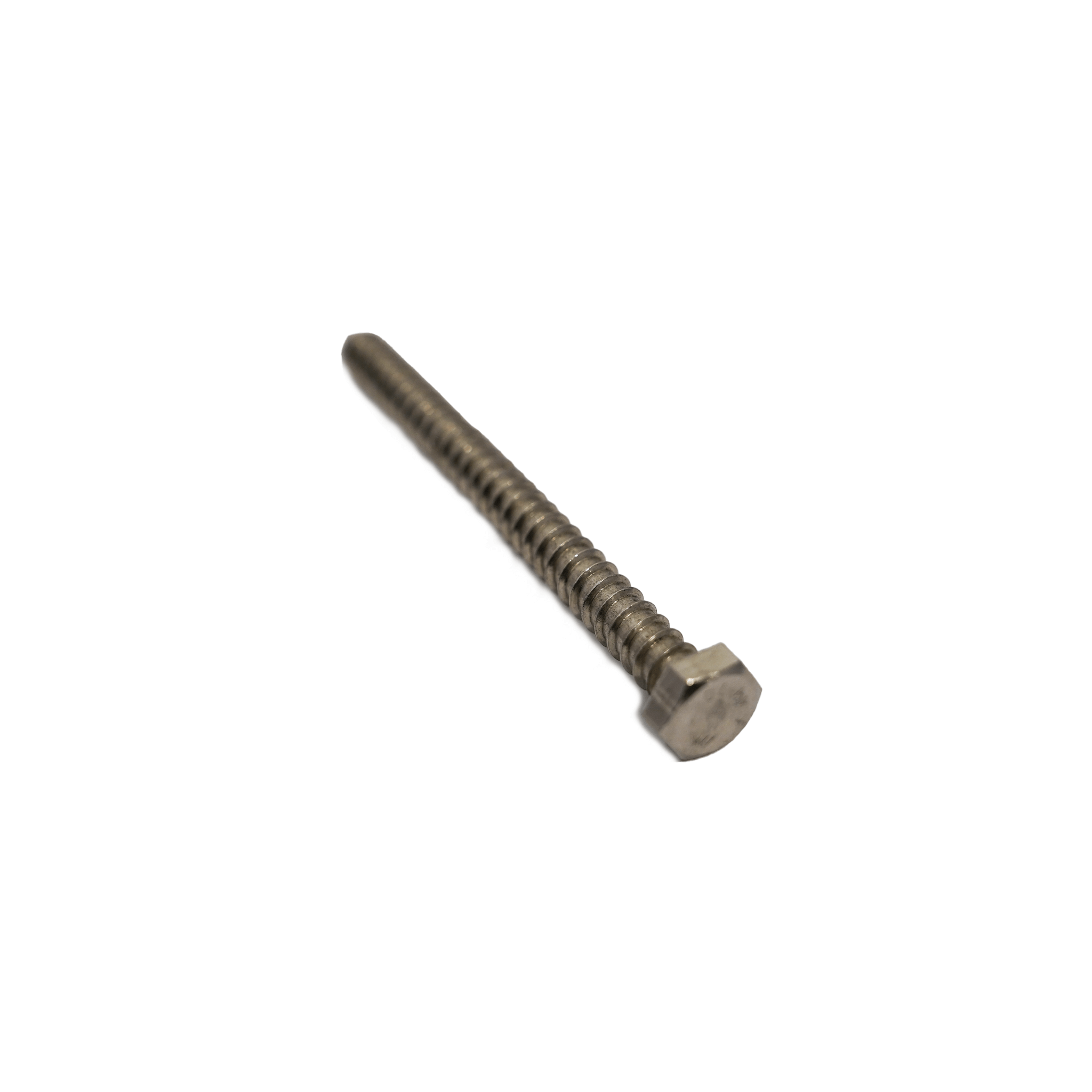 M8 x 100mm Coach Screw - 316SS