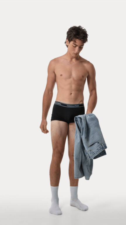 model.gif