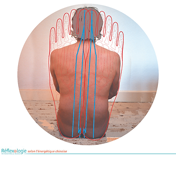 Réflexologie plantaire projection corps  sur pied