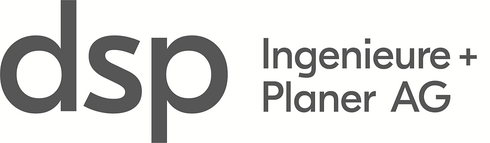 dsp ingenieure Logo