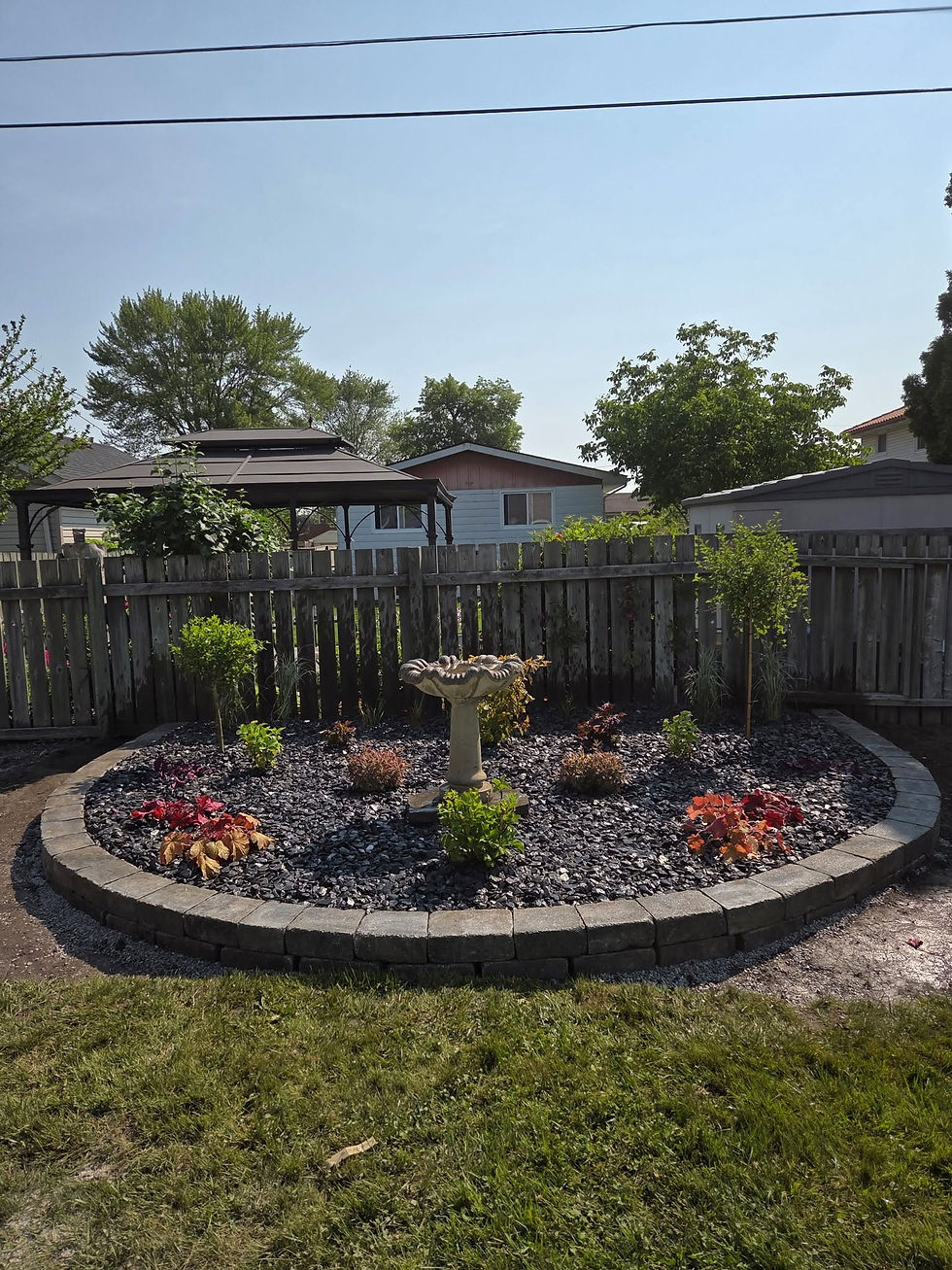 garden