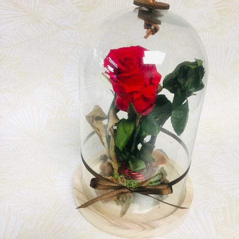 rose eternelle ss cloche 1.JPEG