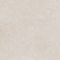 Fusion_WEB_60x60R_GP FVYT660101 TF_Web_B