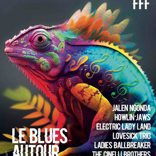 LE BLUES AUTOUR DU ZINC DE BEAUVAIS ▶︎du 15 au 24 Mars: Benjamin Biolay,FFF,Keziah Jones...