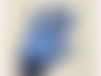 MIKE ANDERSEN«RAISE YOUR HAND» (Custom Records – Baco Music). Sortie le 28.10. Concert le15.12 Paris