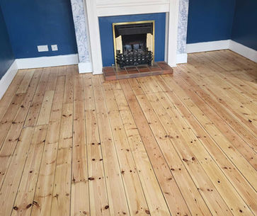 Living room with wooden flooring and fireplace