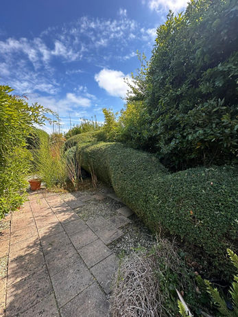 Garden hedging