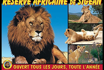 reserve-africaine-de-sigean.jpg