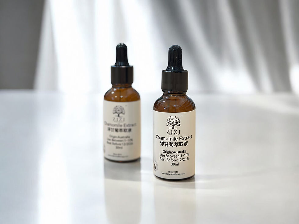 洋甘菊萃取液 Chamomile Extract