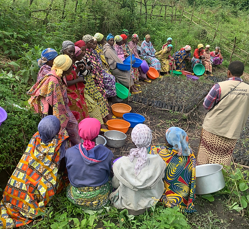 Tamil Nadu Project Green Hands