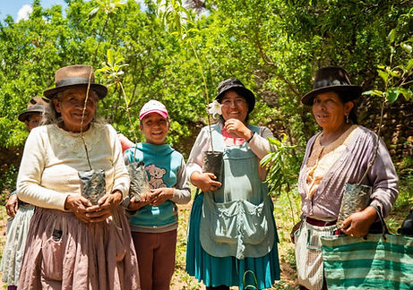 Eden Reforestation Projects Mangroves in West Papua