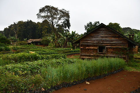 Photo by Mercy Kinani