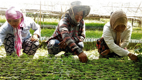 Discover Our Tree Projects 