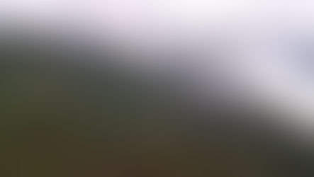 Mount Bamboutous - Taking Root!