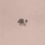 studio mumu creëert visuele identity's voor lifestylemerken en product-based merken