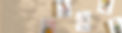 banner_wholesale.jpg