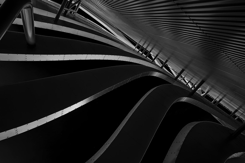 L1009463.jpg