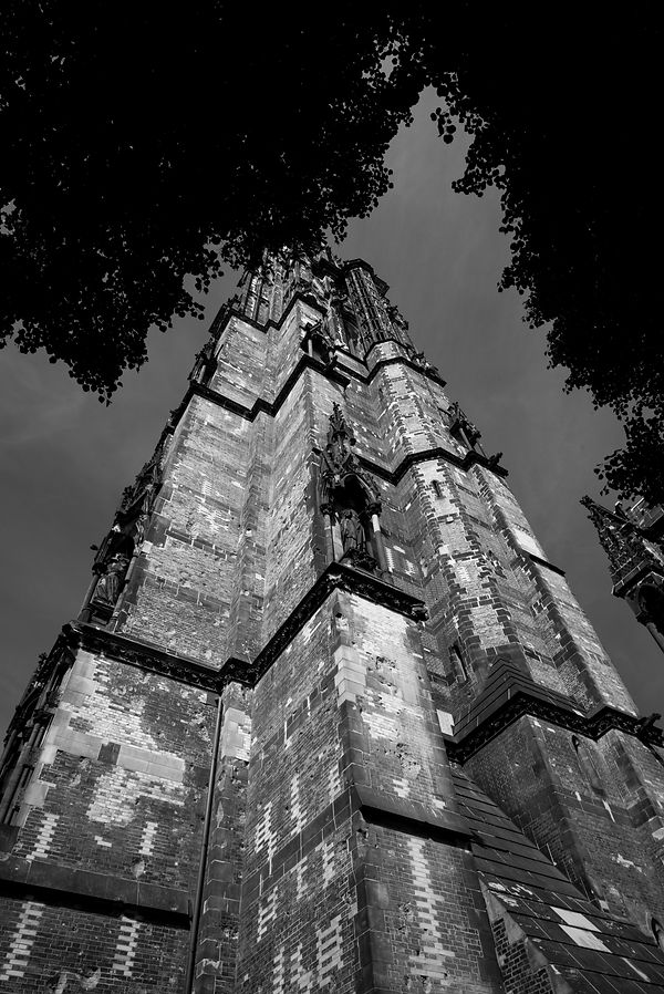 L1005152.jpg