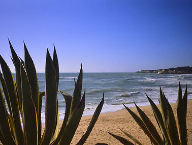 DSC_4051c.jpg
