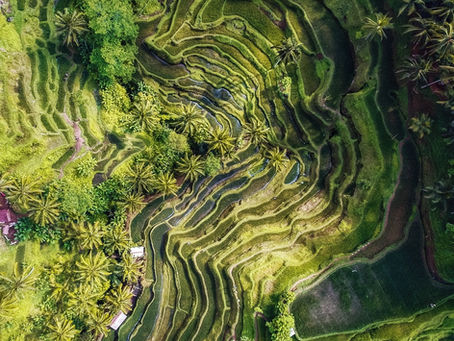 Pilot Spotlight: Emjeii Beattie