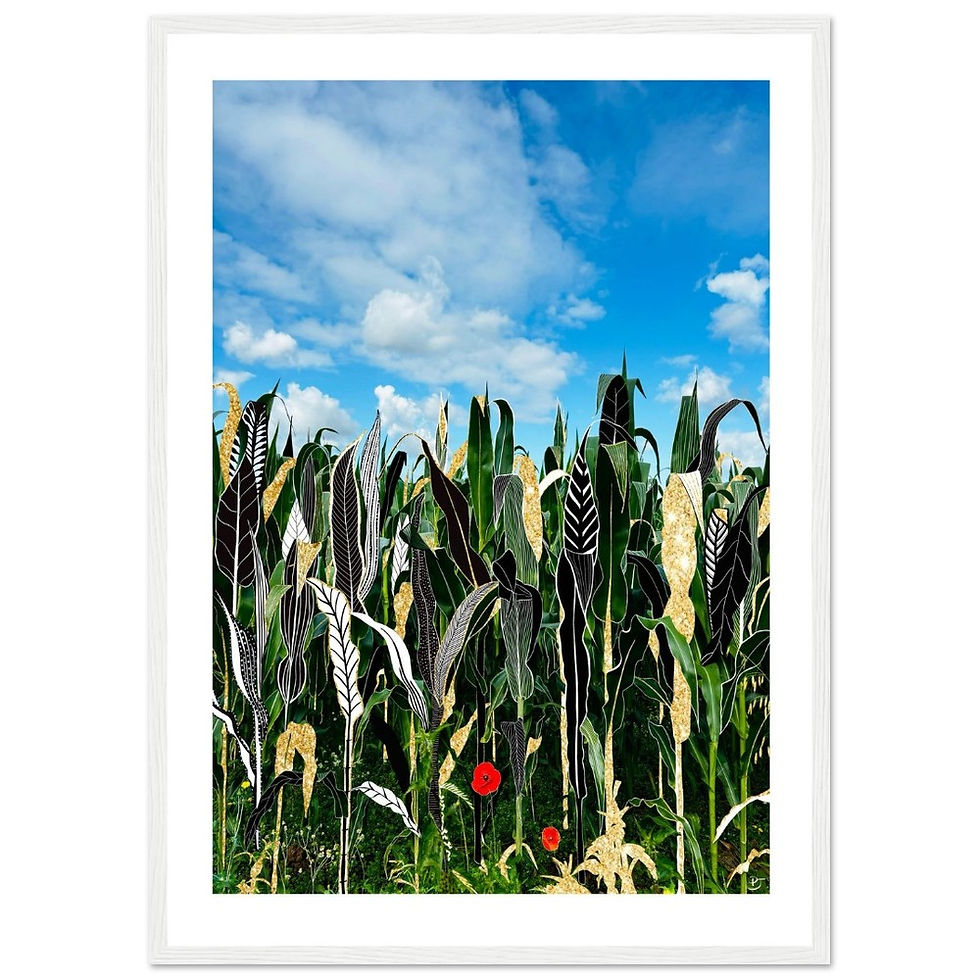 Thumbnail: Cornfield, Derbyshire, UK -  Framed Print