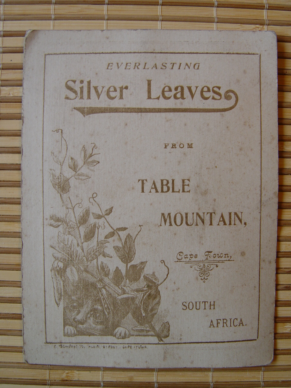 http://www.acme-inc.co.uk/greetingscards/DSC05489.jpg