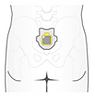 Image9.png
