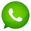 logo what.png