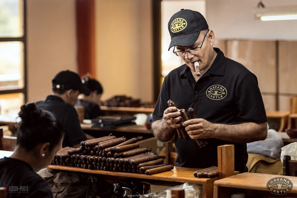 Cigar wrapper types comparison Connecticut Habano Maduro Sumatra