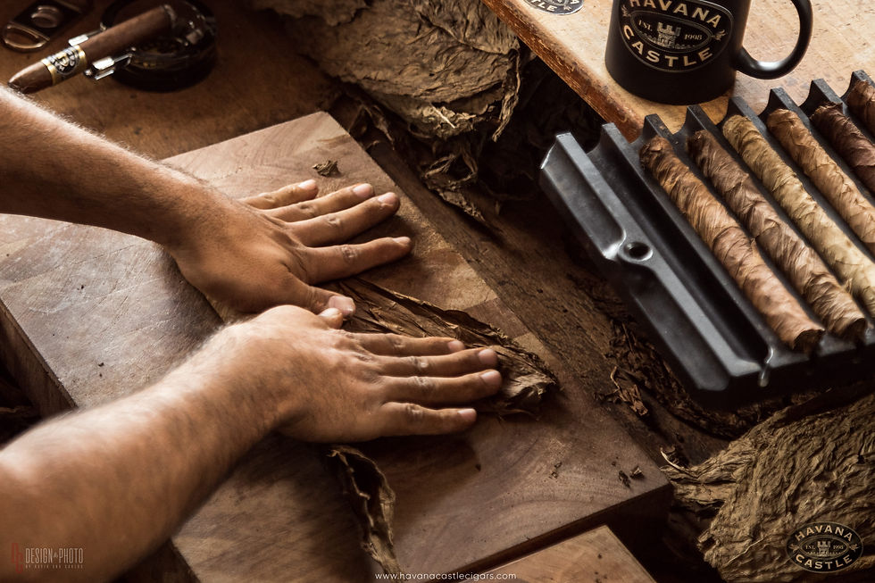 Selecting cigar leaves in Havana Castle