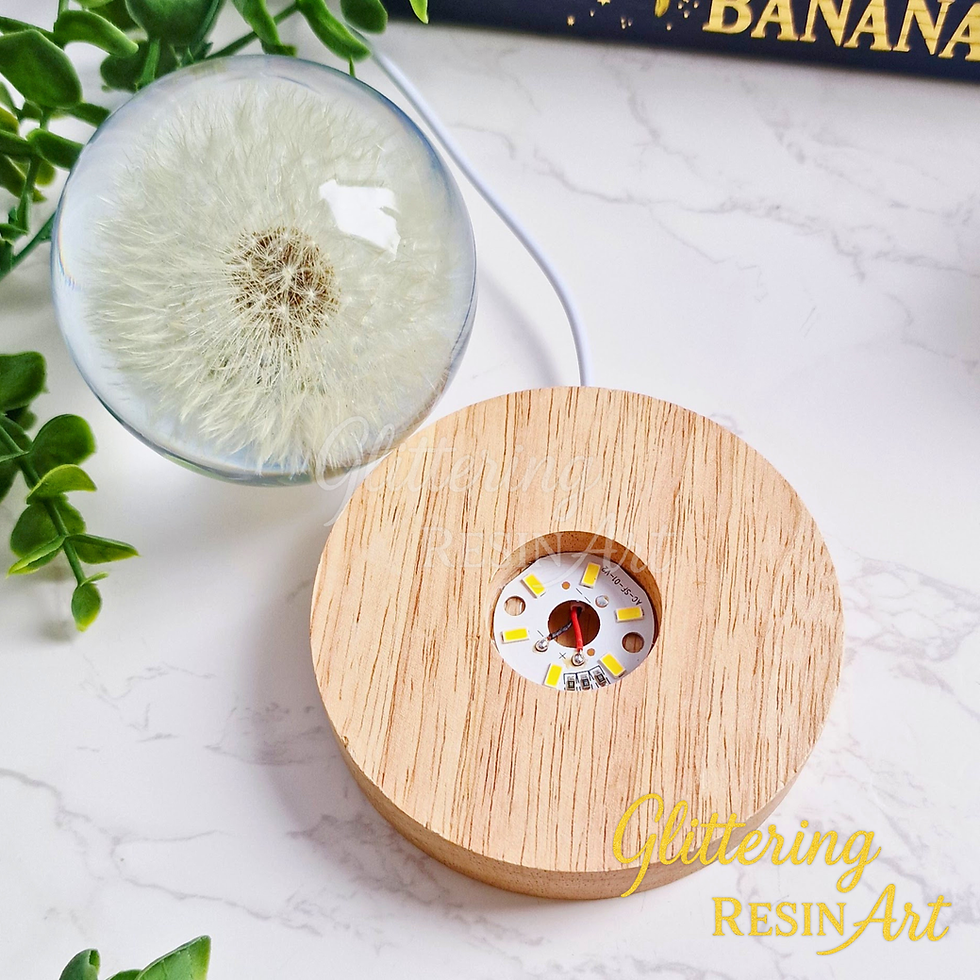 Thumbnail: Handmade Dandelion Resin Sphere with LED Wooden Base