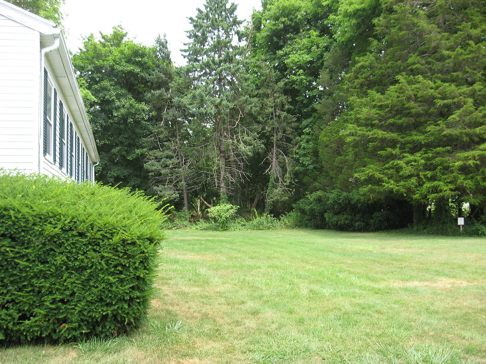 Parish hall lawn
