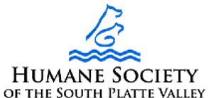 Rescue dog enjoying a free adventure hike as part of WoofPeaks’ shelter support program.