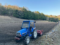 IMG_5184.jpeg