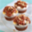 Mississippi Mud Cupcake