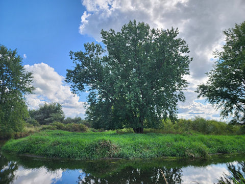 Hansen Preserve