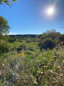 Anglin Family Nature Preserve