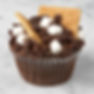 S'Mores Cupcake