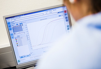 Gráfico no computador