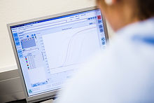 Graph auf Computer